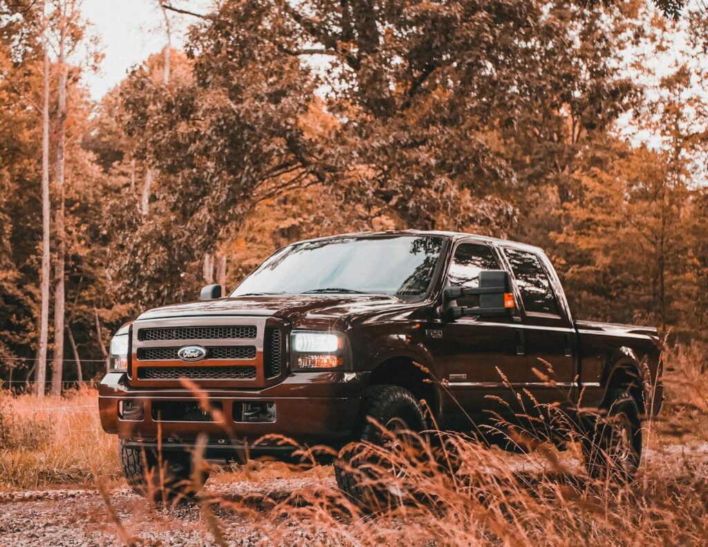 A dark pickup truck parked among trees and tall grass.